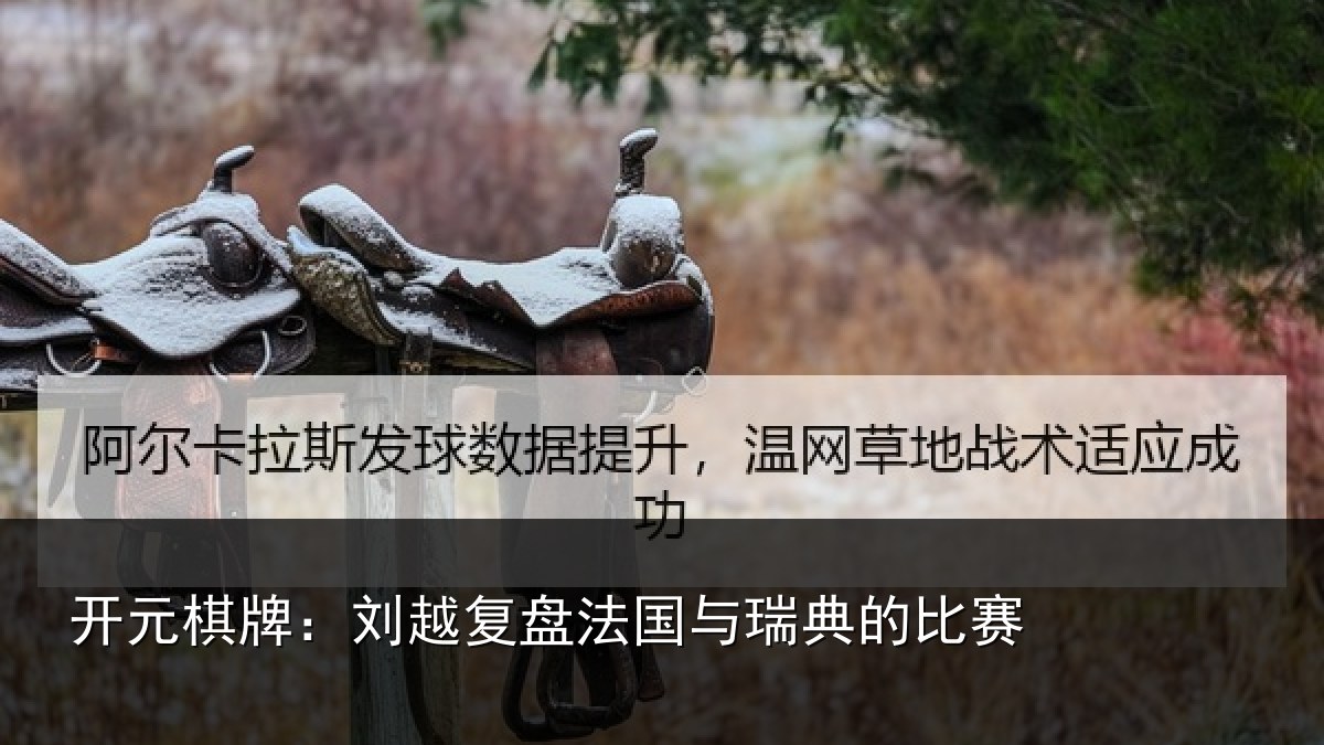 开元棋牌:刘越复盘法国与瑞典的比赛