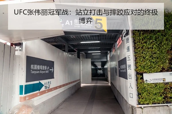 UFC张伟丽冠军战：站立打击与摔跤应对的终极博弈